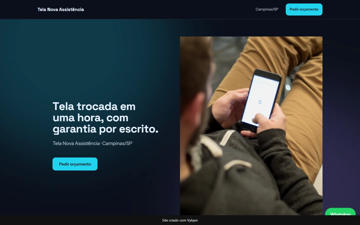 Primeira tela do site gerado para Tela Nova Assistência